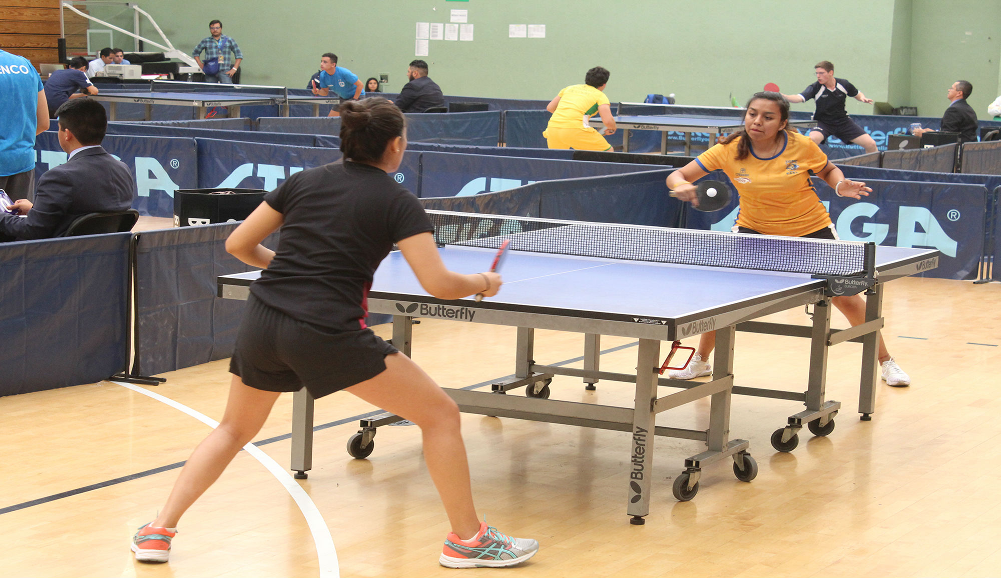 Oro, plata y dos bronces en tenis de mesa