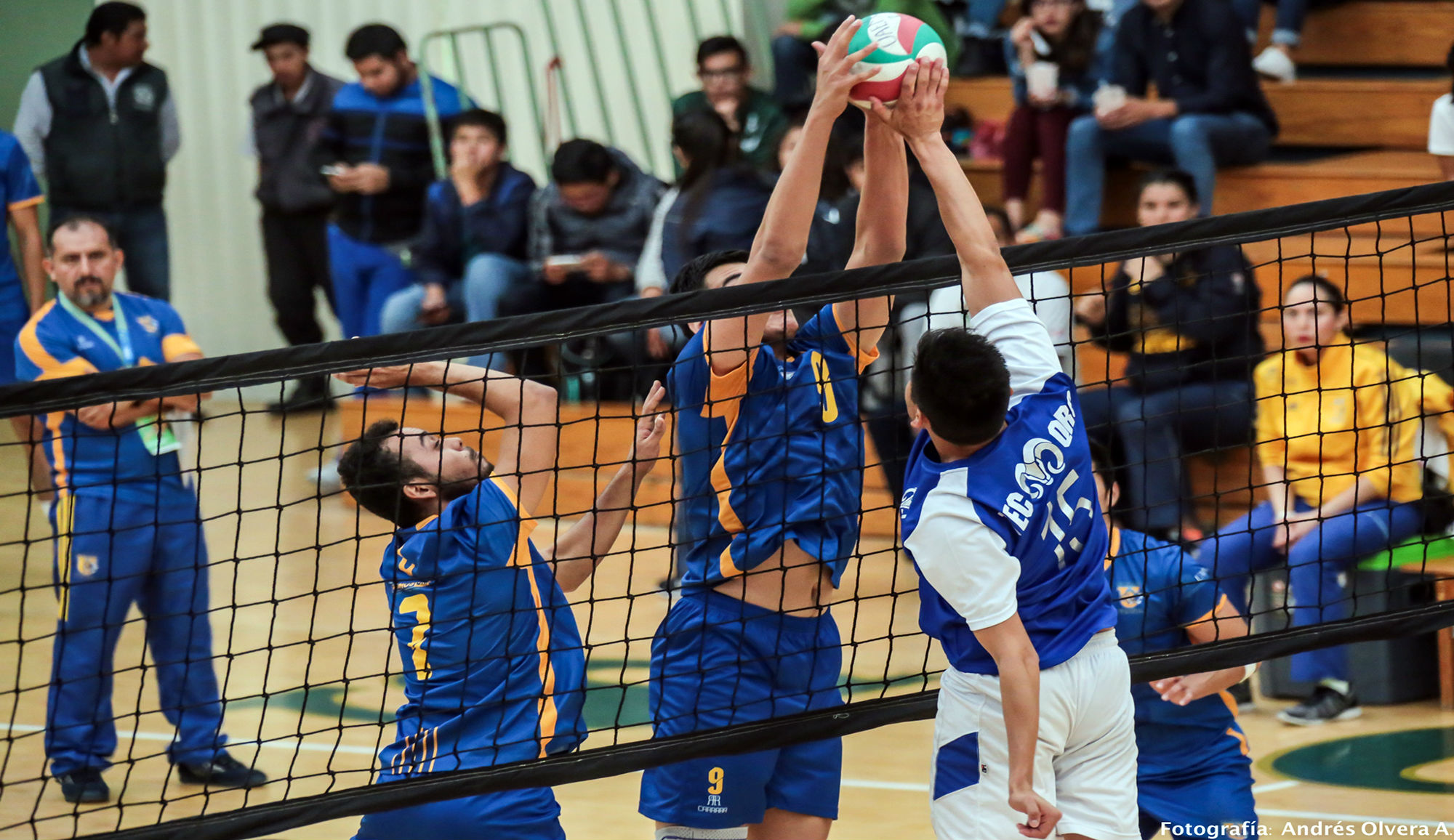 Van por el oro en voleibol de sala