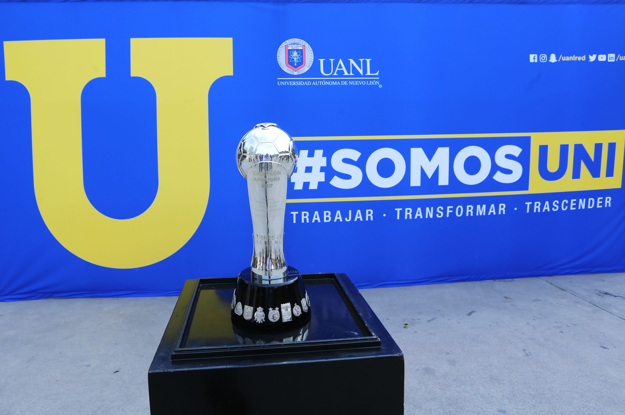 Bienvenida de campeonato