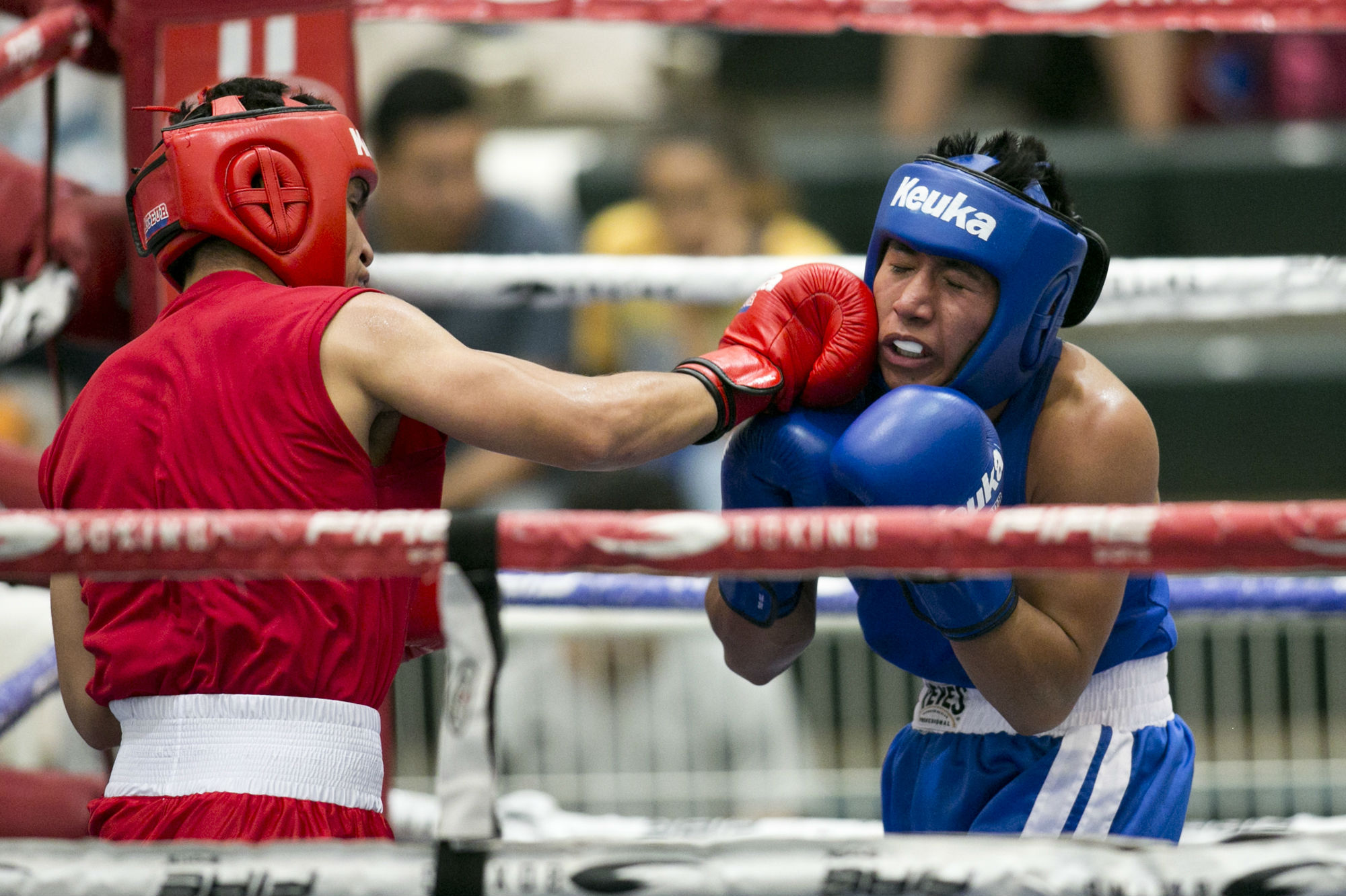 Boxeo UANL: Vamos por el podio