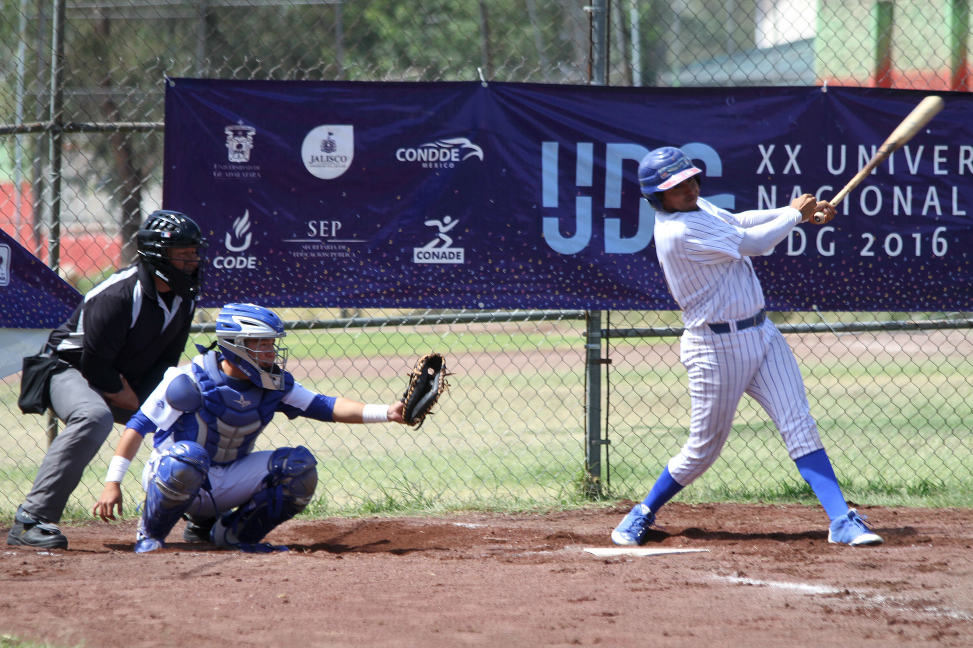 Tigres se despiden del beisbol