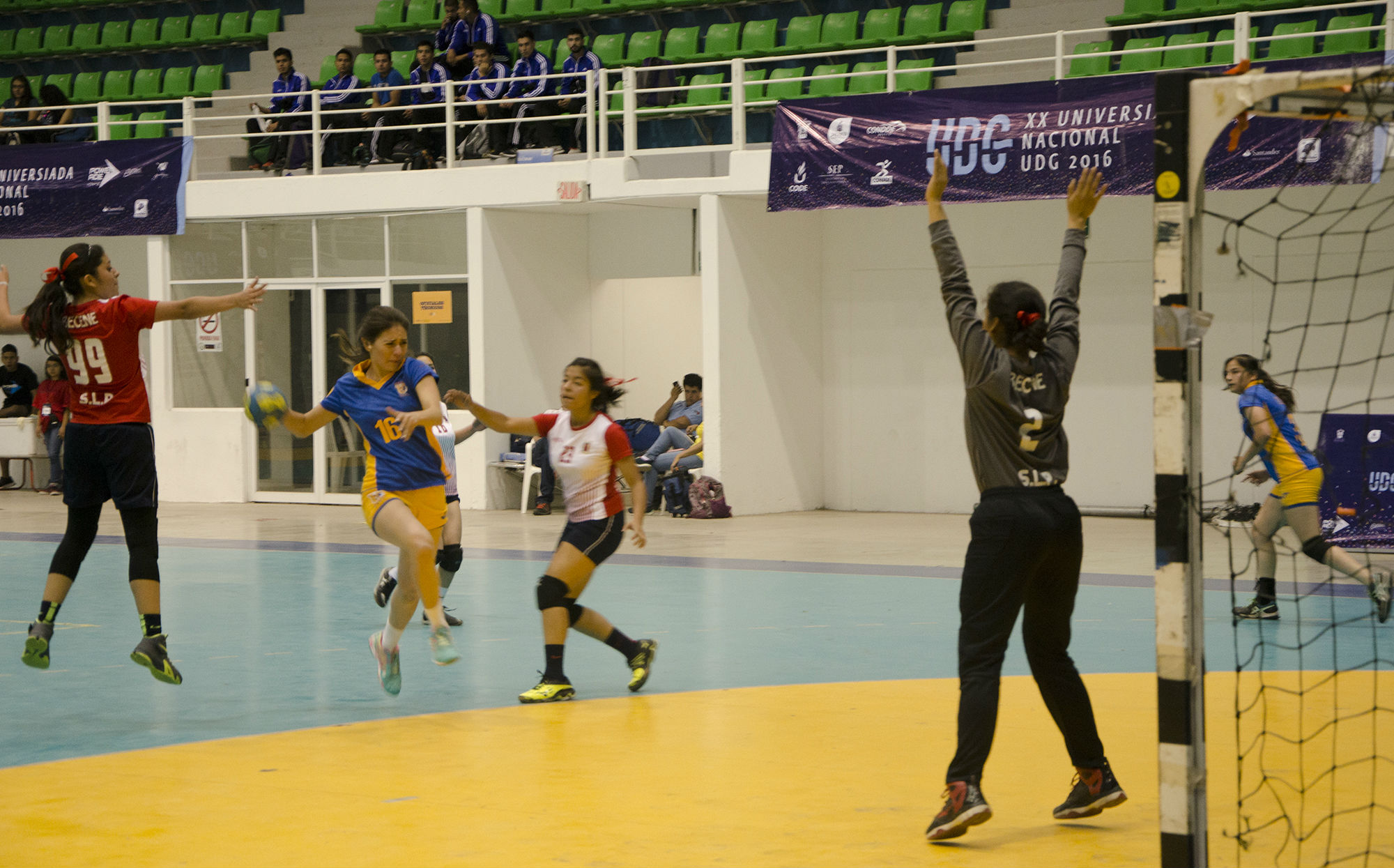 Dan primer zarpazo en handball  