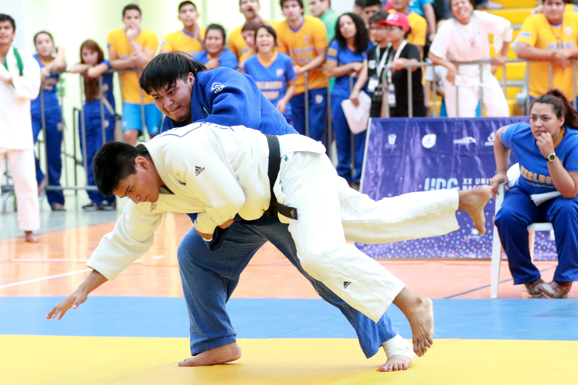 Judocas felinos abren con nueve medallas