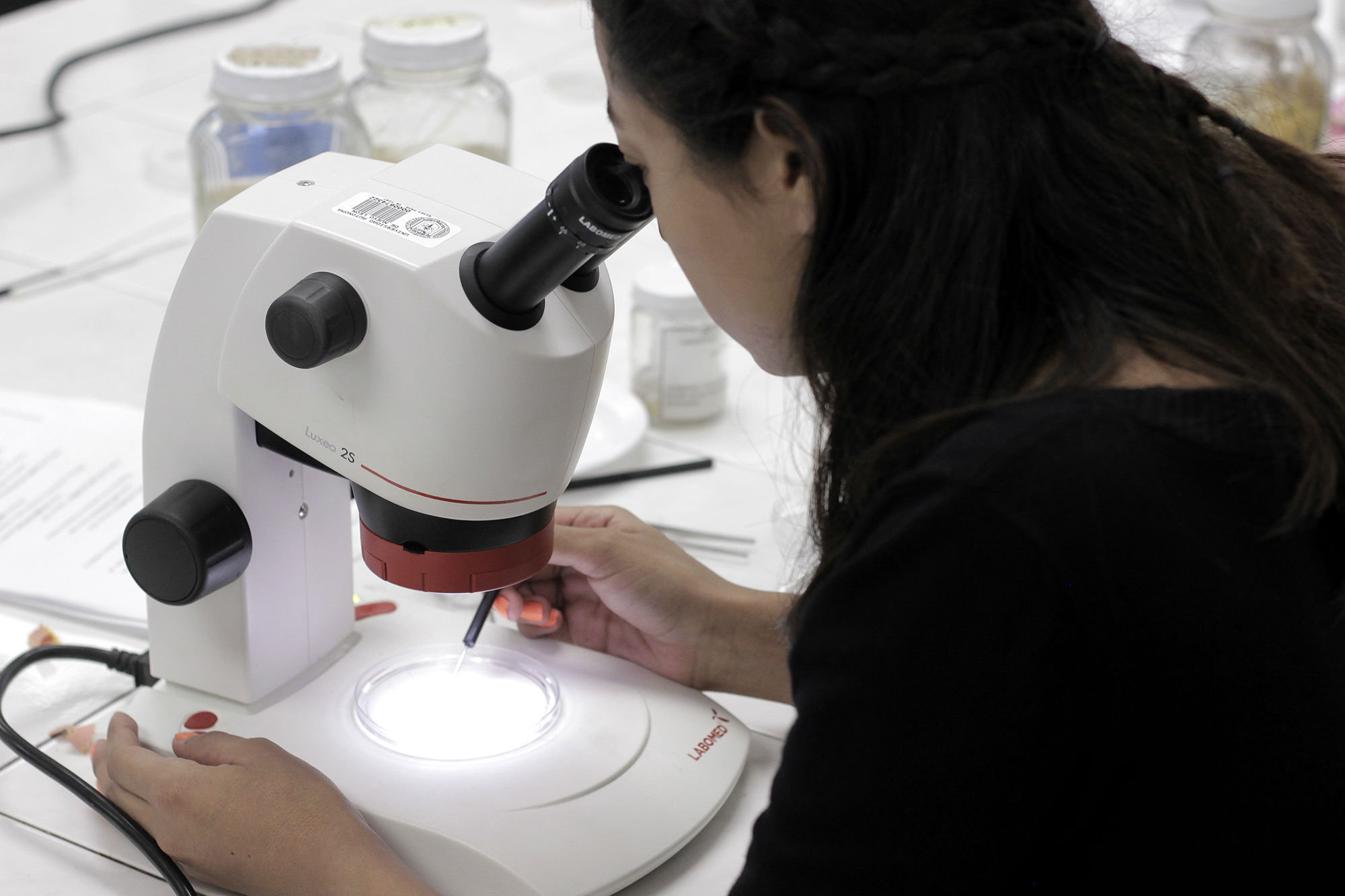 Identifican especies de importancia pesquera y ecológica