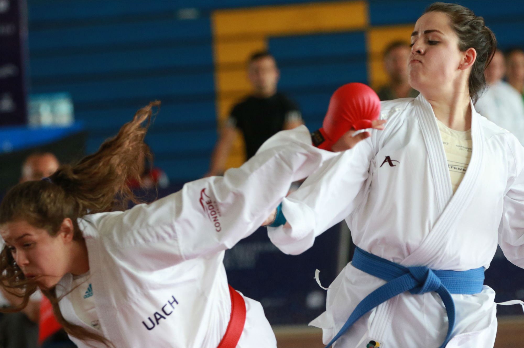 Cambio generacional en los Tigres de Karate