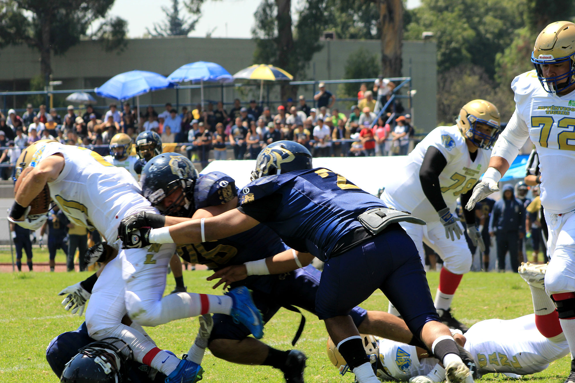 Sigue Auténticos Tigres dominante en la ONEFA