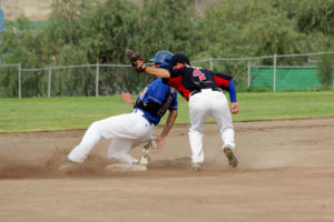 Siguen vivos Tigres de beisbol