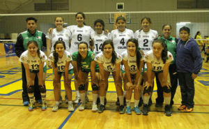 Liga Mexicana de Voleibol