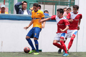 Tigres de fútbol rápido