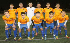 Tigres en UE 2014