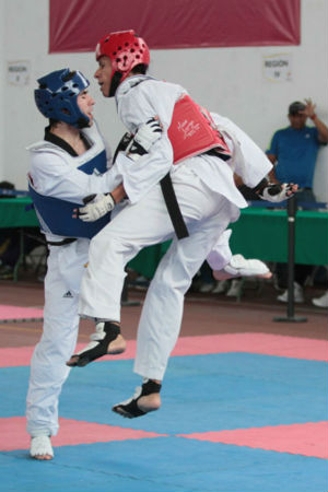 Tigres de taekwondo