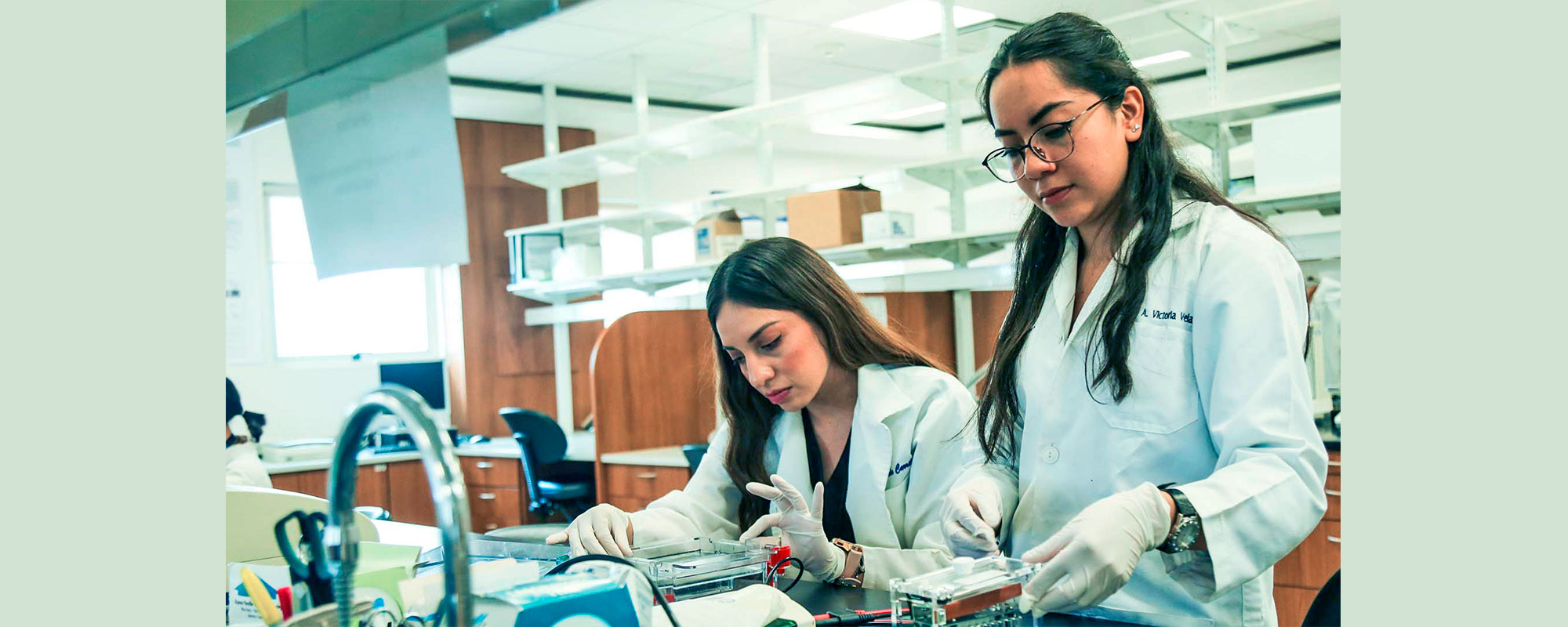 La cultura del trabajo femenino, agente activo en la historia