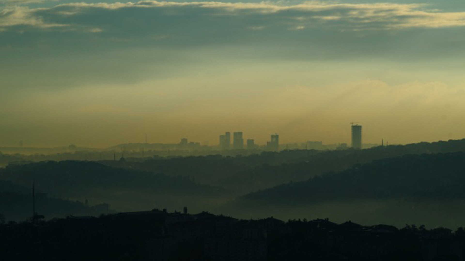 Detona cambio climático enfermedades emergentes