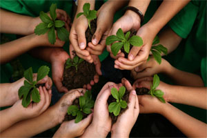 Clubes ecológicos promueven conciencia ambiental