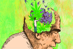Sería cannabis alternativa contra el Alzheimer