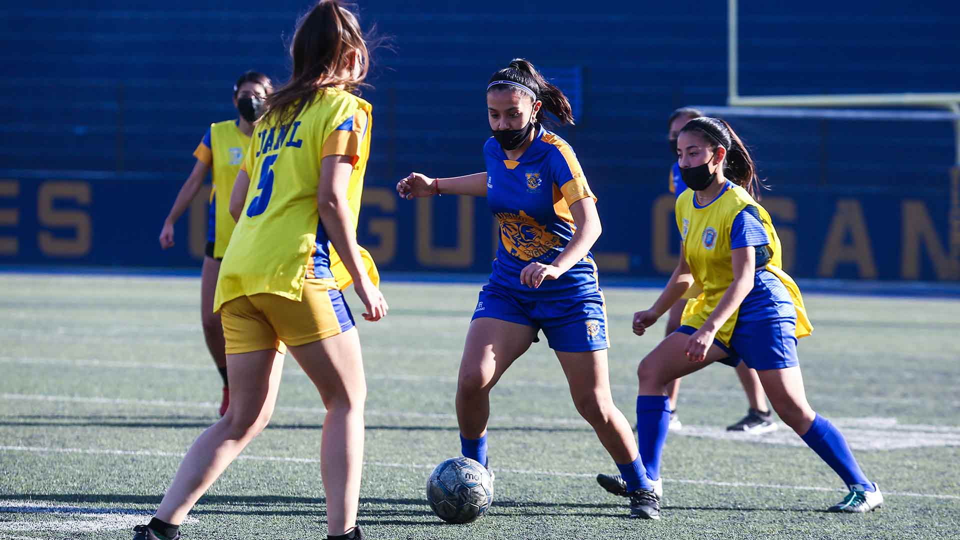 UANL, semillero de jugadoras de la Liga Mx Femenil