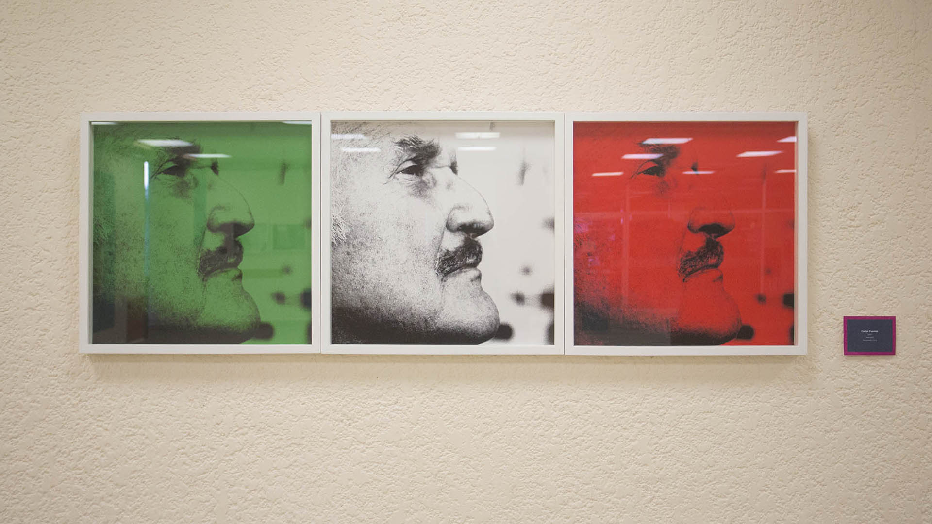 Carlos Fuentes en la mirada fotográfica