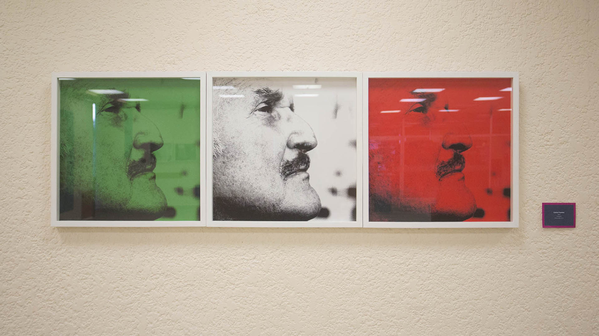 Carlos Fuentes en la mirada fotográfica