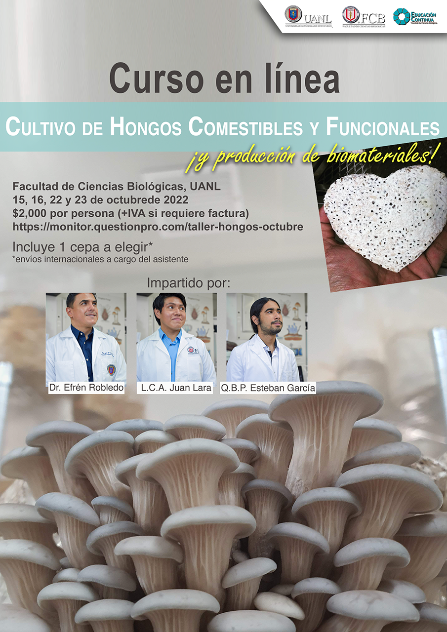 Cultivo de hongos medicinales y micomateriales