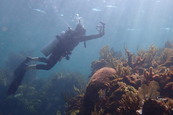 Investiga bióloga marina explotación de hábitats costeros