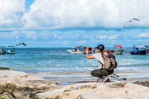 Marine biologist researches the exploitation of coastal habitats