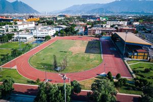 Estadio Raymundo 