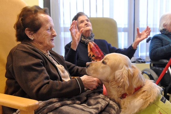 Mejora calidad de vida de pacientes con Alzheimer terapia asistida con caninos