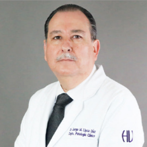 Jorge Martín Llaca Díaz