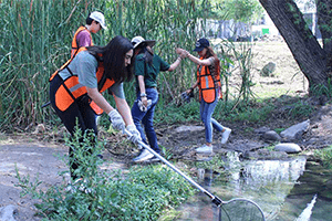 UANL: A Beacon of Sustainability