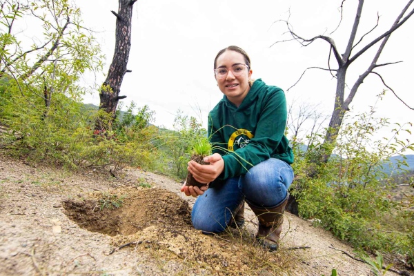 Combina Bosque Escuela estudio y cuidado de la flora y fauna regional