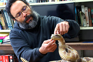 Es UANL líder nacional en el estudio de los reptiles