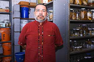 Growing concern over Devilfish in Nuevo Leon