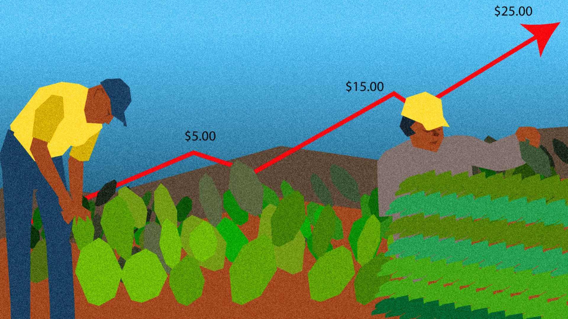 Sobreproducción de nopal impacta en precios en CDMX