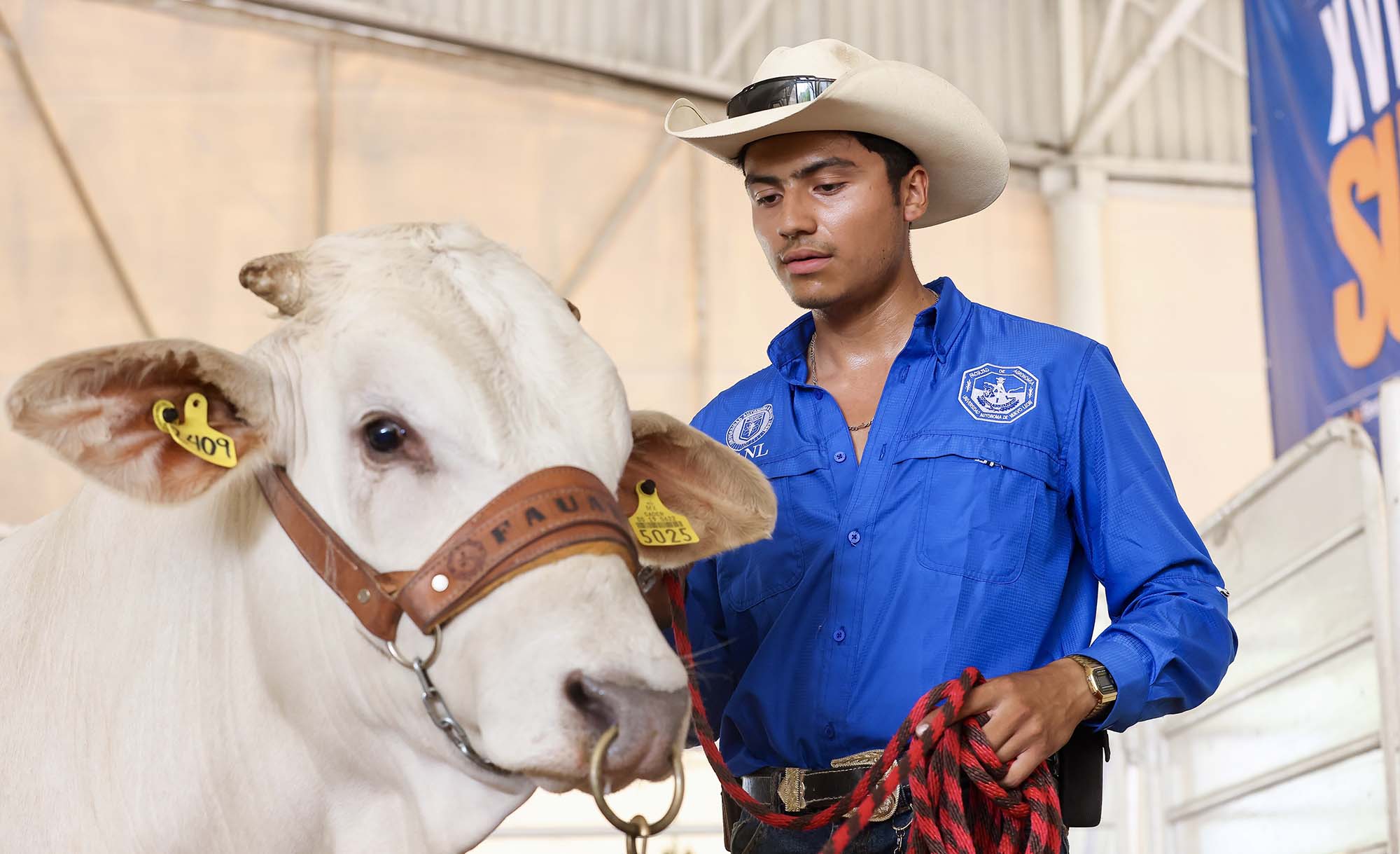 Acerca UANL mejoramiento genético al sector ganadero